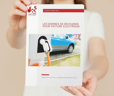 Quelle borne de recharge choisir pour mon g&icirc;te ou ma chambre d'h&ocirc;tes ? [Dossier]