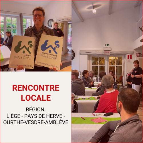 La rencontre locale Li&egrave;ge – Pays de Herve – Ourthe-Vesdre-Ambl&egrave;ve 2023 : convivialit&eacute; & r&eacute;seautage