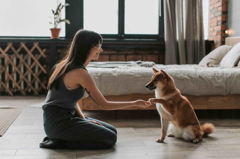Vacances avec son chien